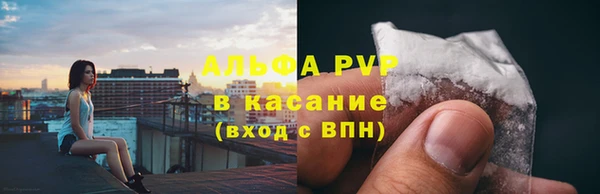 скорость Ельня