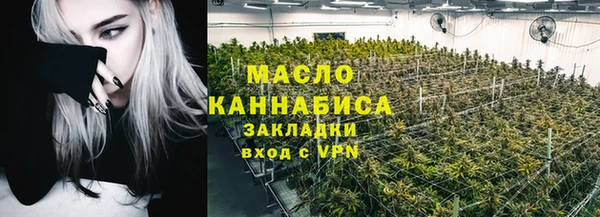 дмт Абаза