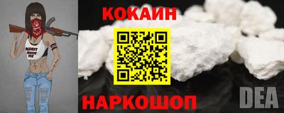гашик Моздок