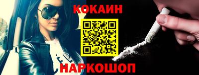 гашик Моздок