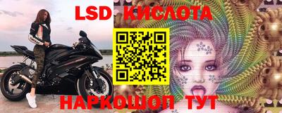 гашик Моздок