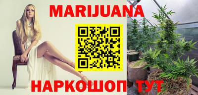 гашик Моздок