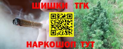 гашик Моздок