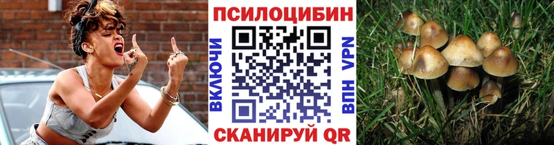 Псилоцибиновые грибы ЛСД  цена   Челябинск 