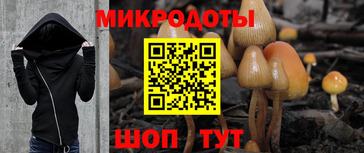 Галлюциногенные грибы мухоморы  Вход с VPN  Галлюциногенные грибы прущие грибы  где купить наркотик  Челябинск 